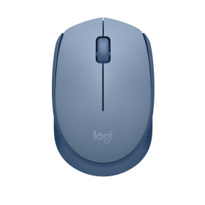 Logitech M171 mouse Ambidestro RF Wireless Ottico